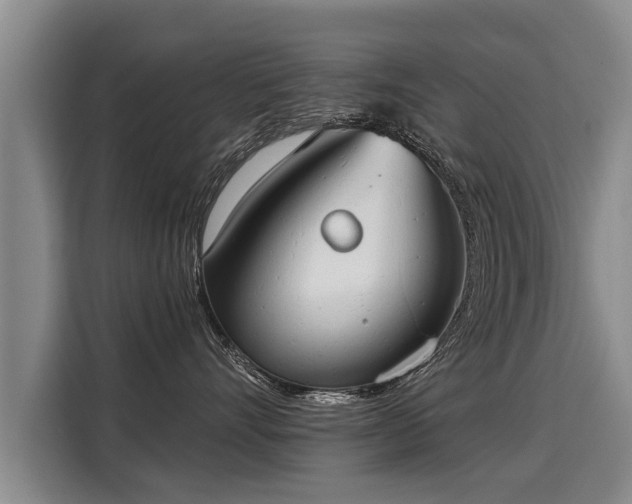 X0000116020528200911271118