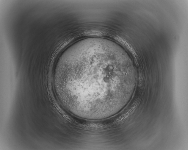 X0000116020529200911271118