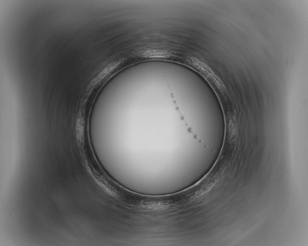 X0000116020533200911271118