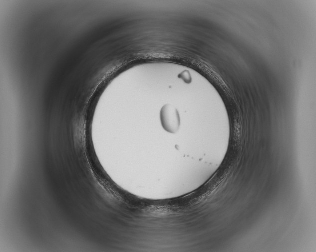 X0000116020534200911271118