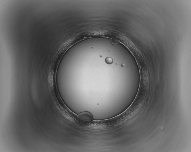 X0000116020537200911271118