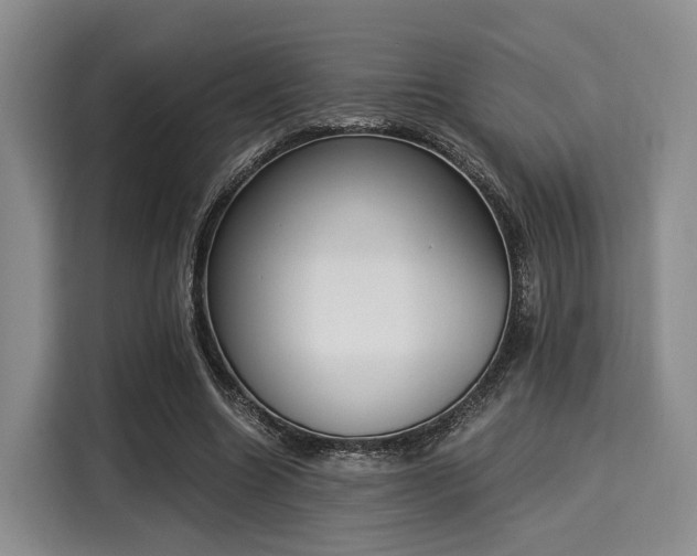 X0000116020538200911271118