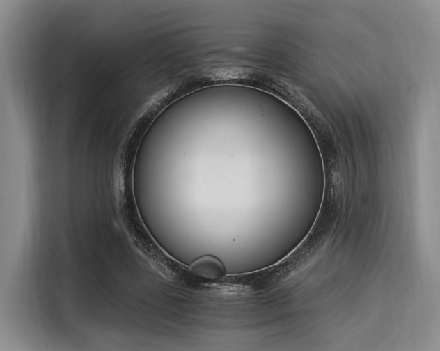 X0000116020539200911271118