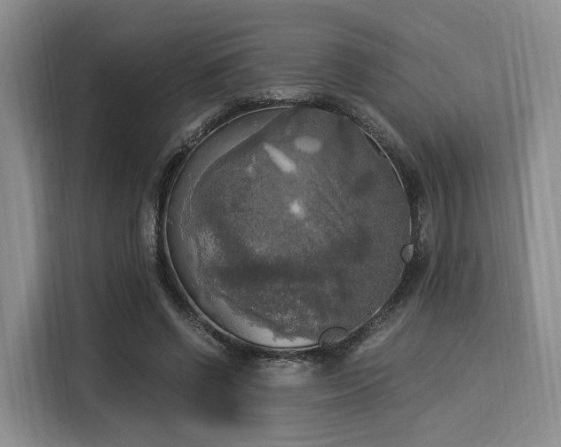 X0000116020542200911271118