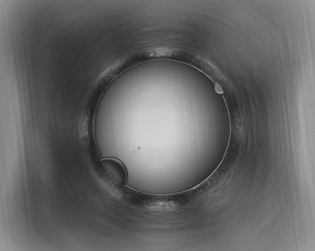 X0000116020543200911271118