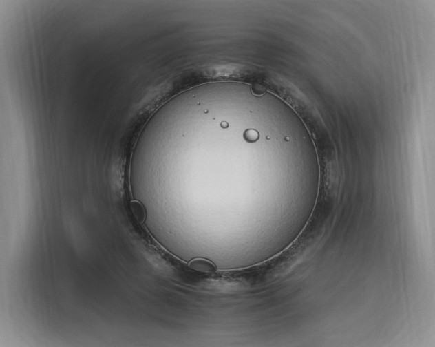 X0000116020545200911271118