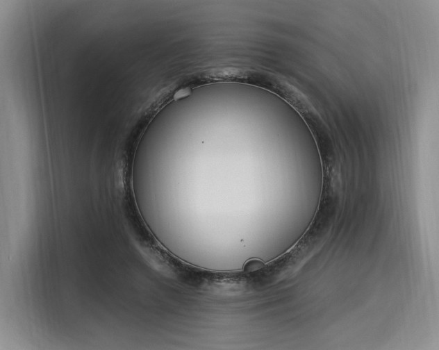 X0000116020546200911271118