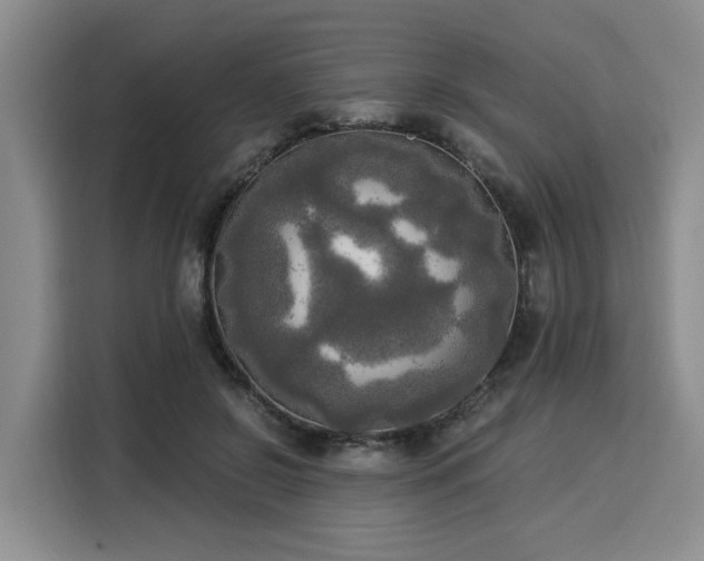 X0000116020550200911271118