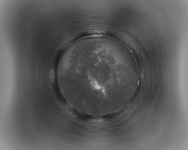 X0000116020551200911271118