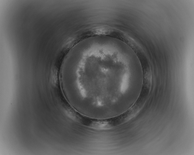 X0000116020554200911271118