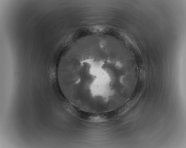 X0000116020561200911271118