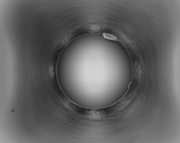 X0000116020562200911271118