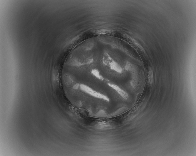 X0000116020569200911271118