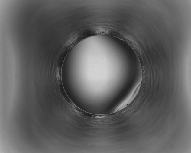 X0000116020573200911271118