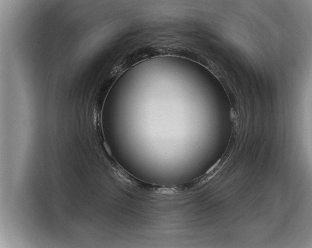 X0000116020574200911271118