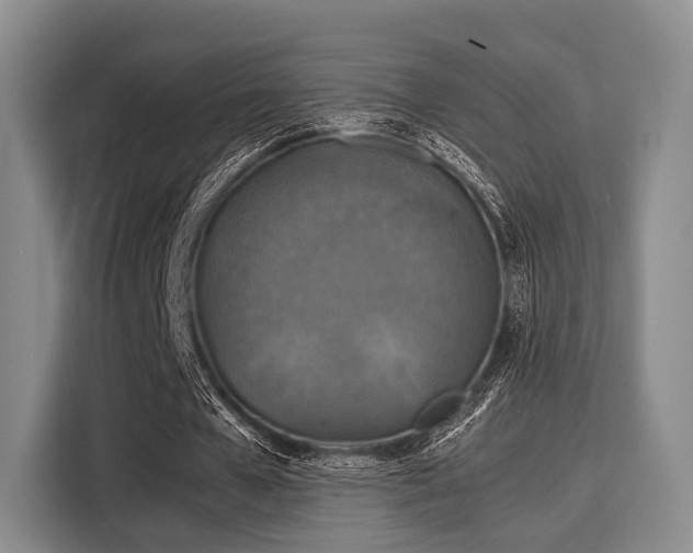 X0000116020577200911271118