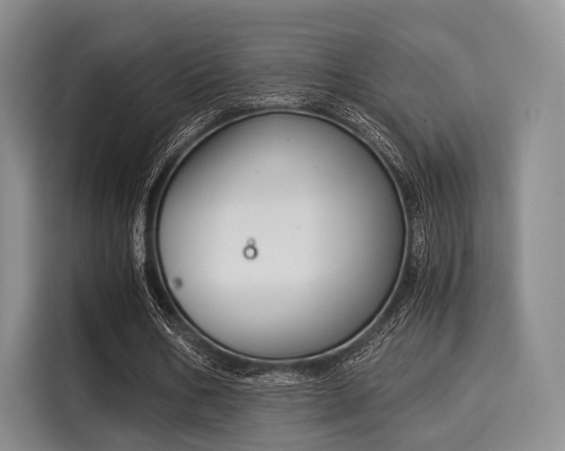 X0000116020578200911271118