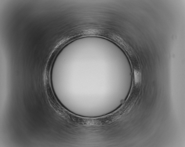 X0000116020579200911271118