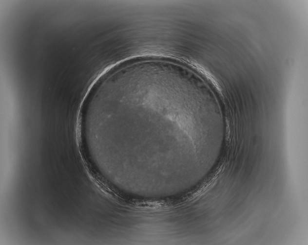 X0000116020580200911271118