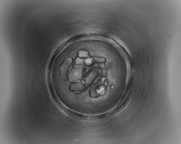 X0000116020581200911271118