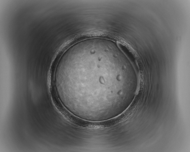 X0000116020582200911271118