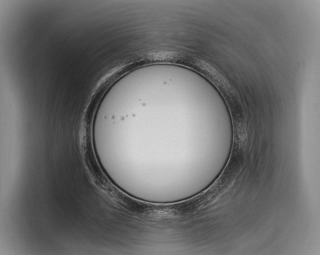 X0000116020583200911271118