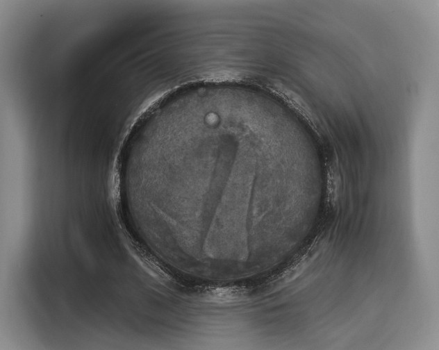 X0000116020584200911271118