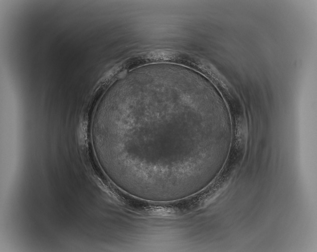 X0000116020585200911271118