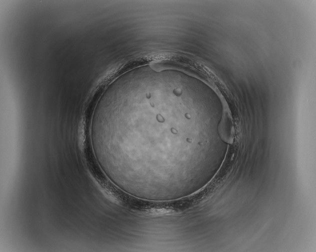 X0000116020586200911271117