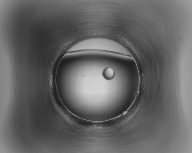 X0000116020589200911271117