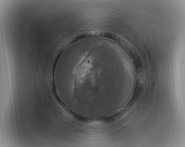 X0000116020593200911271117