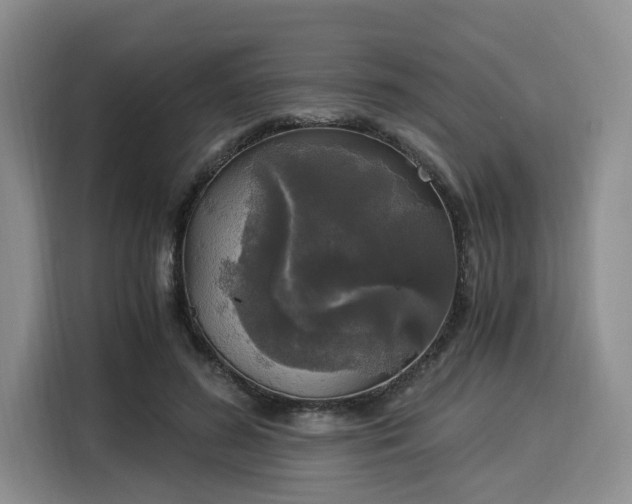 X0000116020596200911271117