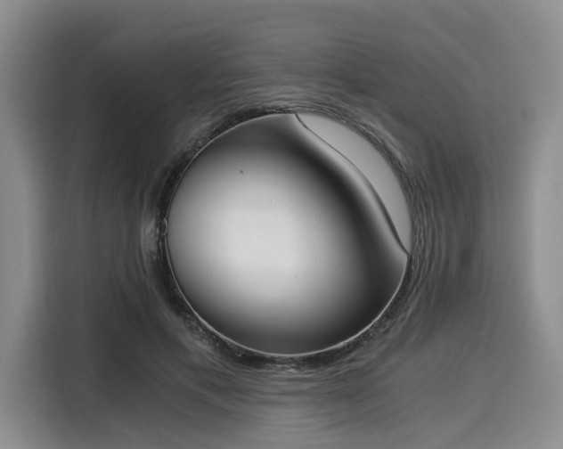 X0000116020597200911271117