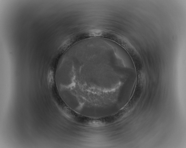 X0000116020598200911271117