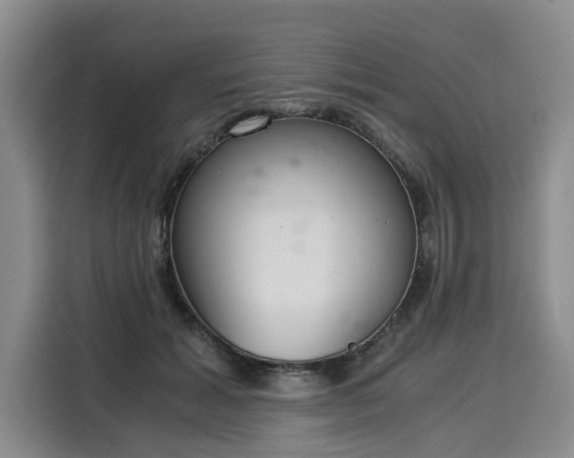 X0000116020605200911271117