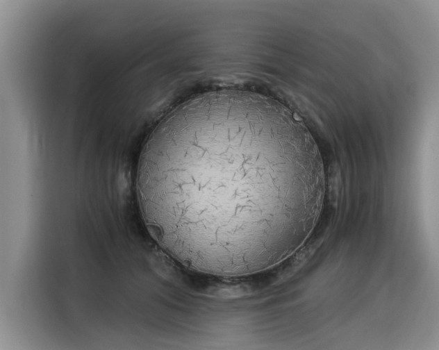 X0000116020608200911271117