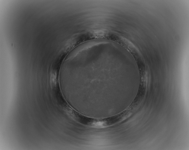 X0000116020610200911271117