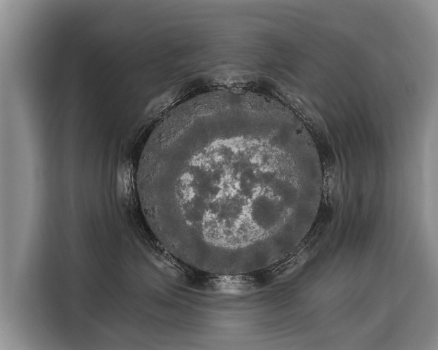 X0000116020623200911271117