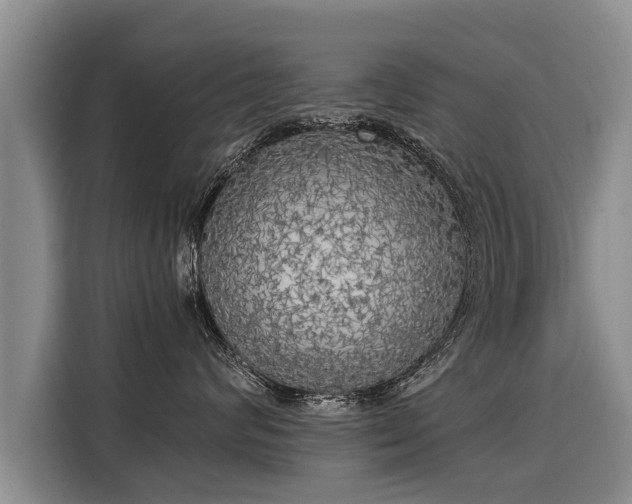 X0000116020624200911271117