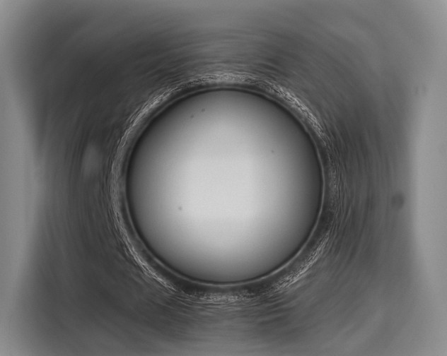 X0000116020625200911271116