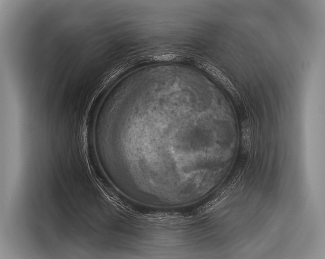 X0000116020626200911271116