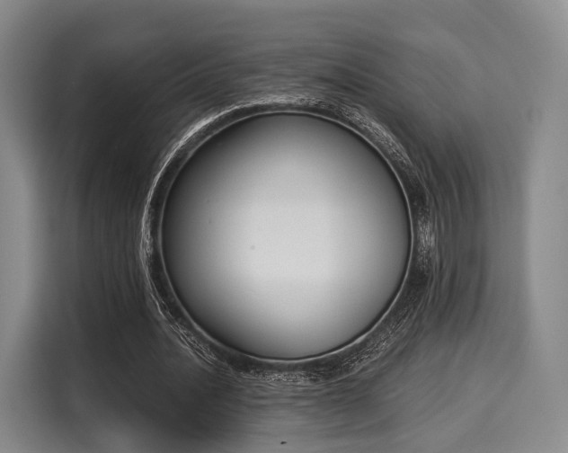 X0000116020628200911271116