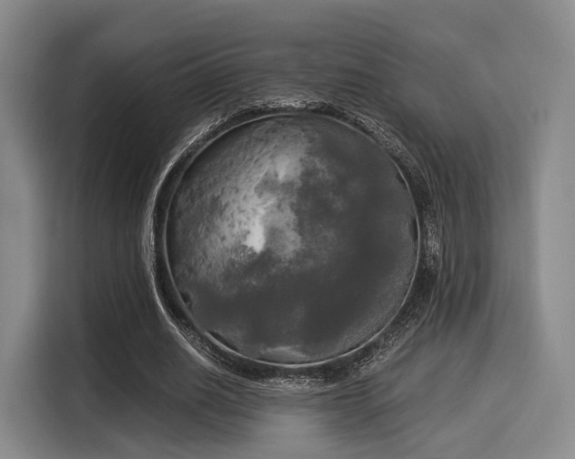 X0000116020630200911271116