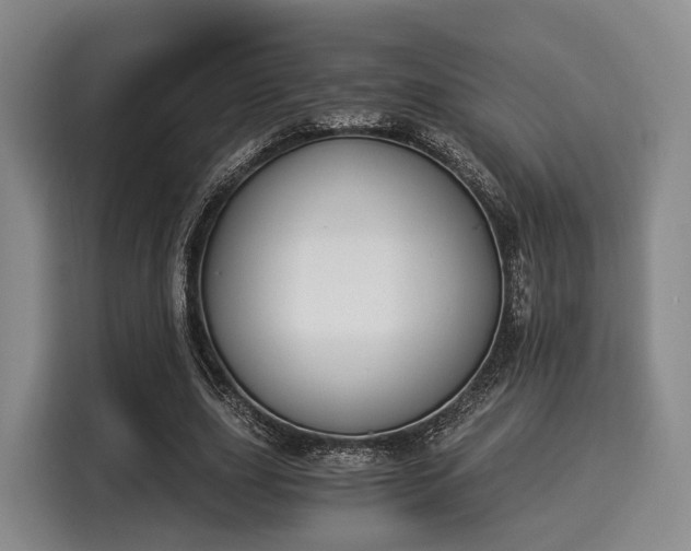 X0000116020631200911271116