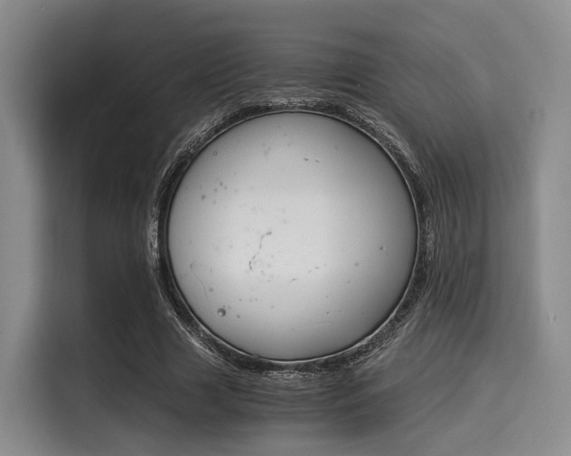 X0000116020633200911271116