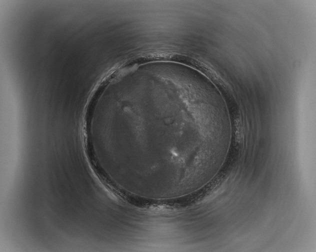 X0000116020634200911271116