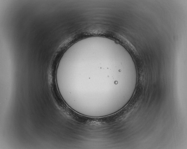 X0000116020635200911271117