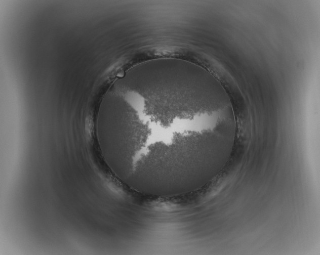 X0000116020648200911271117