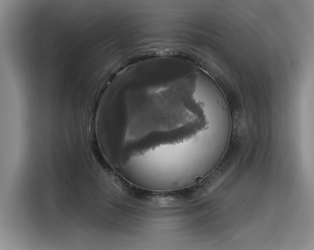 X0000116020650200911271117