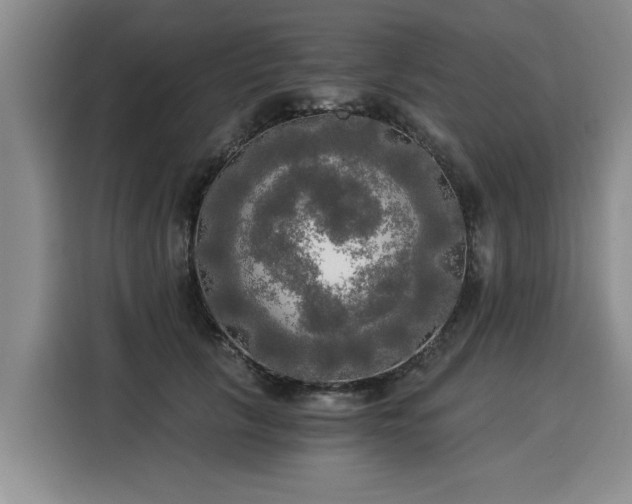 X0000116020657200911271117